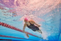 Amanzi - Jagger Ladies Kneelength -Cheap The Best Swimwear Store amanzi jagger ladies kneelength 9